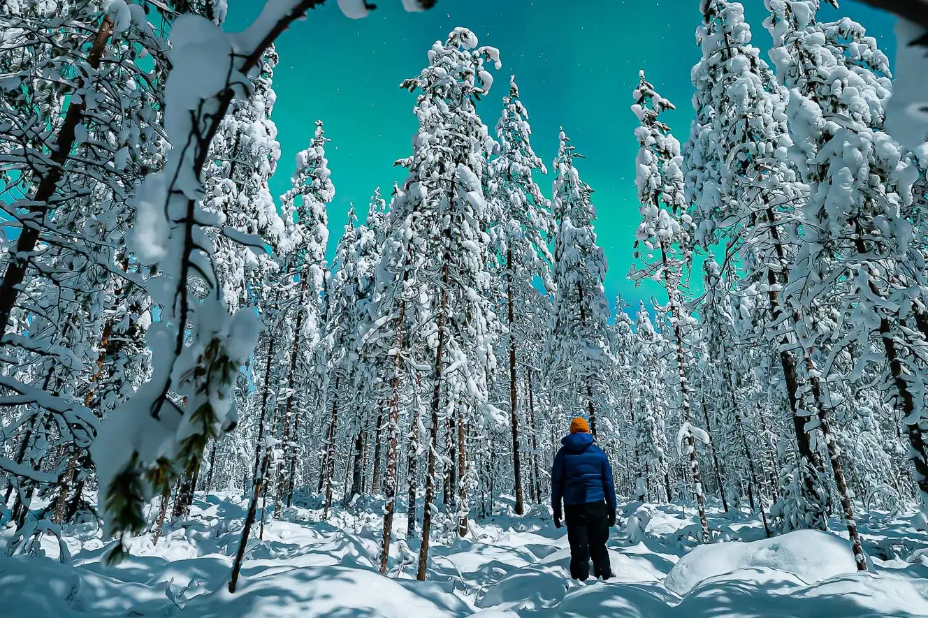 What Do You Love The Most in Lapland?