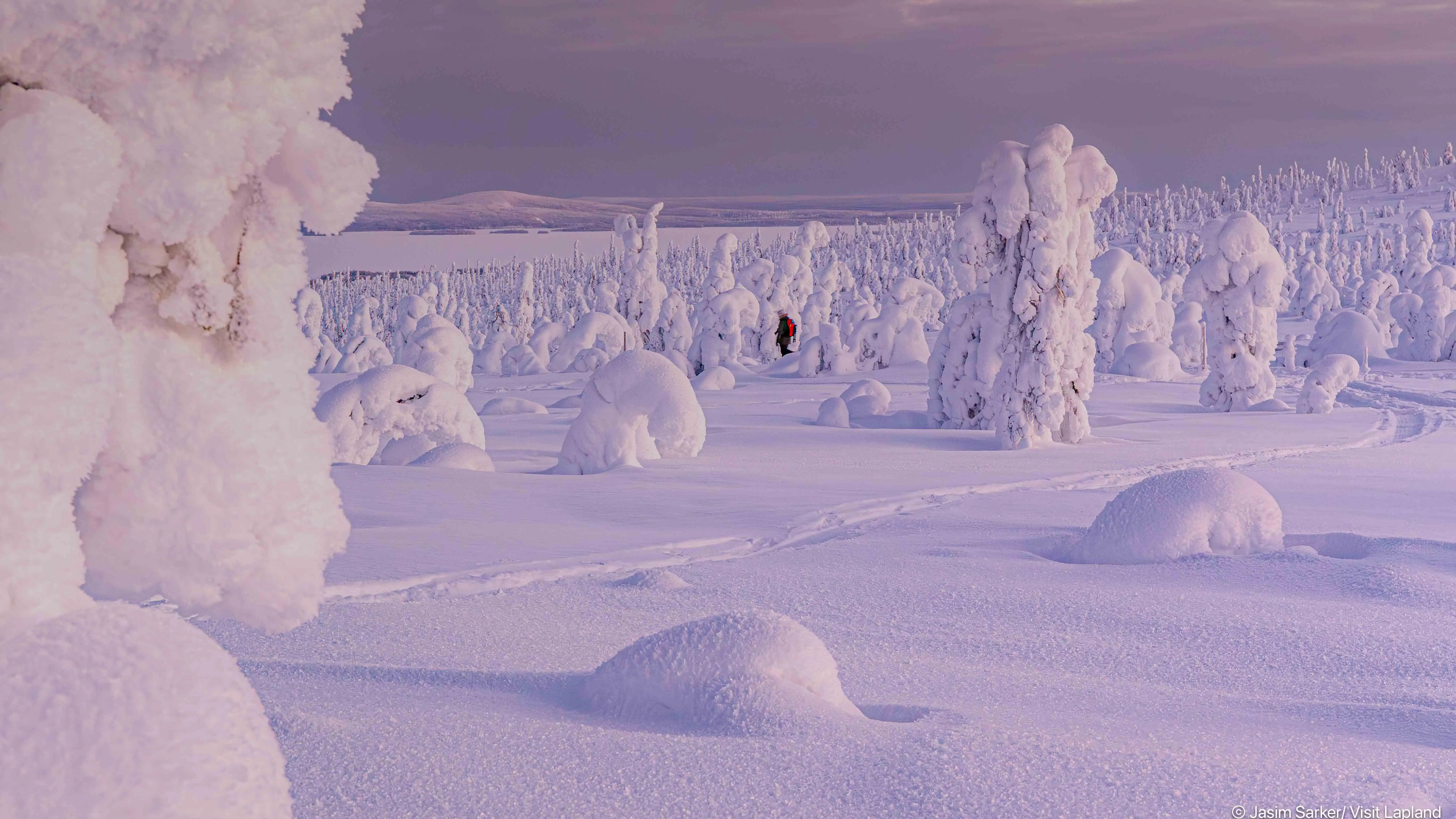Happy Visitors to Finland National Parks : Most Popular Lapland Destinations