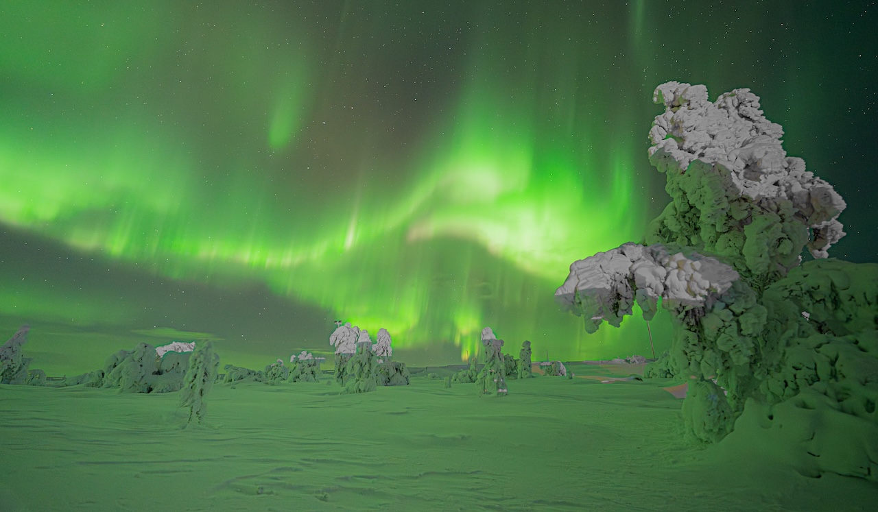 Aurora Van - Authentic Aurora Hunting Adventure